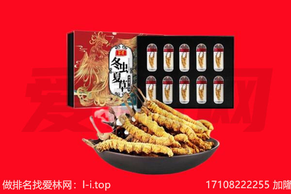南昌回收虫草.jpg